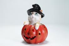 GATITO BRUJO EN CALABAZA CON LUZ LED: DECORACIÓN MÁGICA PARA HALLOWEEN 14X10CM GATITO BRUJO EN CALABAZA CON LUZ LED: DECORACIÓN MÁGICA PARA HALLOWEEN 14X10CM