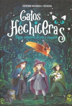 LIBROS DE NIOS NDIGO, MATERNIDAD E INFANTIL | GATOS Y HECHICERAS: MAGIA, METEDURAS DE PATA Y COMPAA