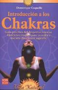 LIBROS DE CHAKRAS | INTRODUCCIN A LOS CHAKRAS